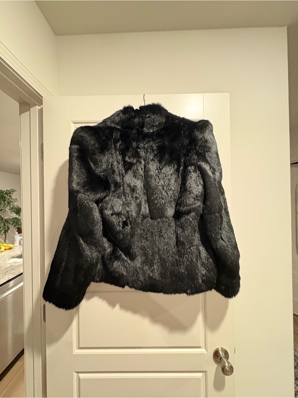 Women's Black Faux Fur Teddy Jacket - Plush Winter Coat